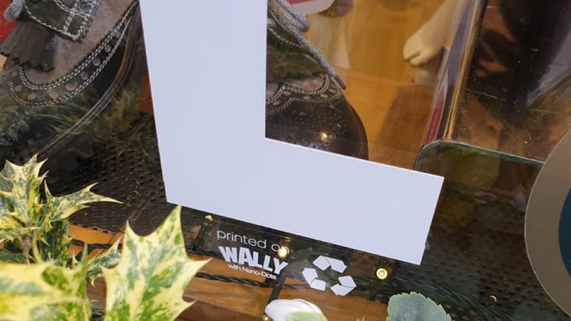 guandong-wally-04